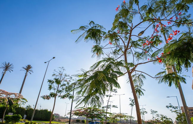 Sokon Residence Rehab - Foto 80