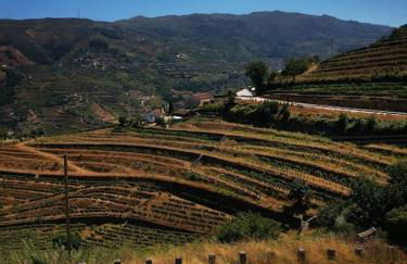 Casa Das Origens, vue sur la vallée du Douro - Photo 70