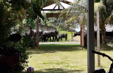 Casarão Navegantes - Foto 11