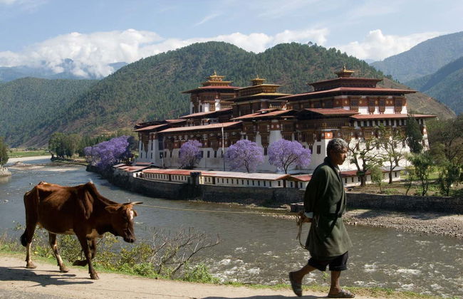 Tour privato di 6 giorni nel Bhutan - Foto 9