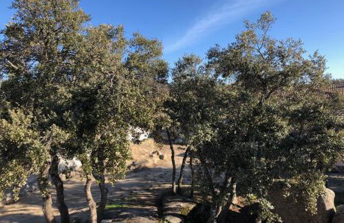 Finca El olivo - Foto 7