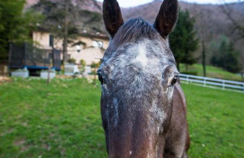 Cascina Canale - Foto 45