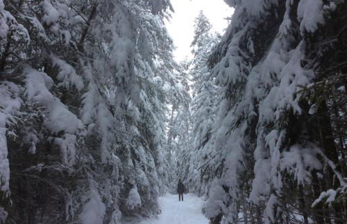 Ferienhäuschen Sans Pareille bei Bayreuth - Foto 55
