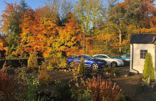 Castle Cottage with views of Kielder Castle - Foto 17