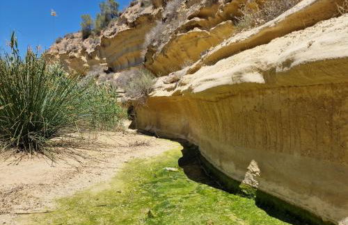 Apartment San Pedro - Foto 38