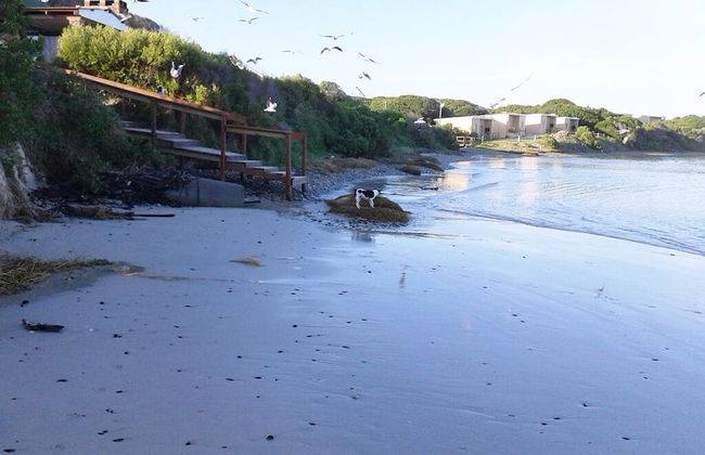 Franskraal Collection - Foto 20