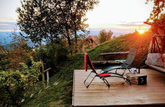 Vineyard cottage Verček - Photo 21