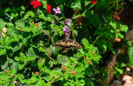 Azur Horizon Oceanview House - Foto 40