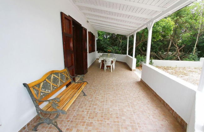 Tenuta la Saracina - Foto 62