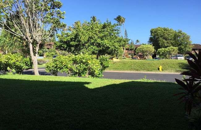 Turtle Bay Sea Shells**ta-154567065601 1 Bedroom Condo by RedAwning - Foto 27