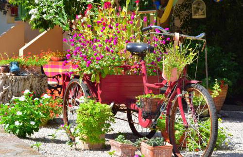 Zaira Studios - Foto 18