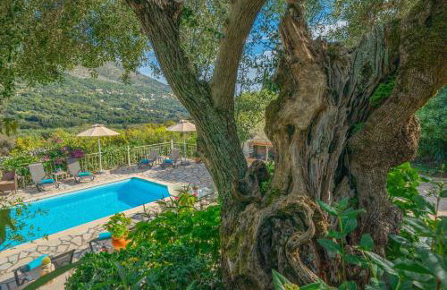 Villa Regina -Hidden Eden with Treehouse & Heated Pool - Foto 2