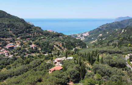 Stella Rossa - Foto 52