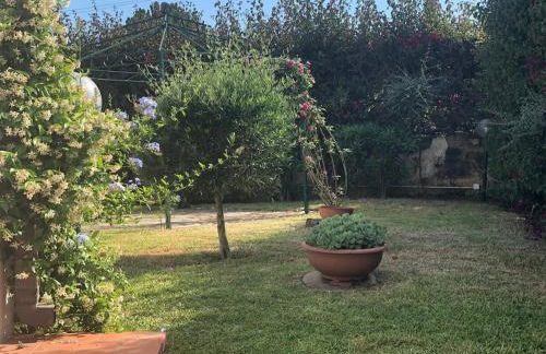 Le tre Palme - Foto 48