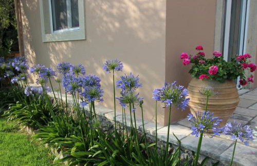 STONE ROSE VILLA - Foto 23