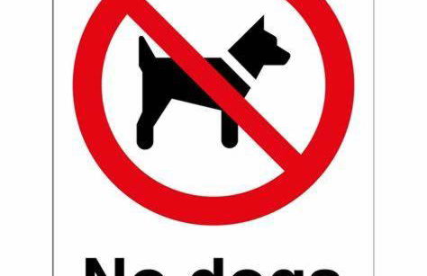 Apartments in Warnemuende - Foto 14