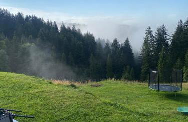 Apartament w górach Gorce - Foto 22