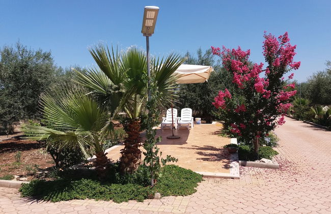 Villa Calendula - Foto 33