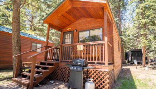 The Blue Fox Cabin #8 at Blue Spruce RV Park & Cabins - Foto 2