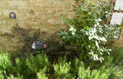 Casa dell'Oliveto "parcheggio gratuito" - Foto 31