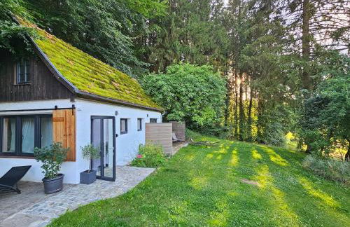 Tiny House mit eigener Sauna am Waldrand in der Fränkischen Schweiz - Foto 23