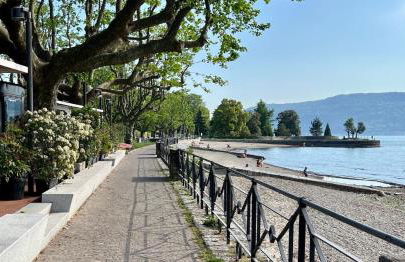 House of Camellias - Ground Floor with Garden - Foto 53