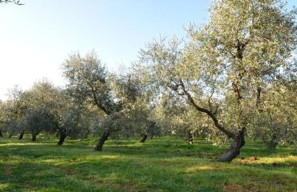 Apartments P&B - Foto 77