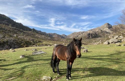 Casa Belavista no Geres by In'Canto Property Management - Foto 58