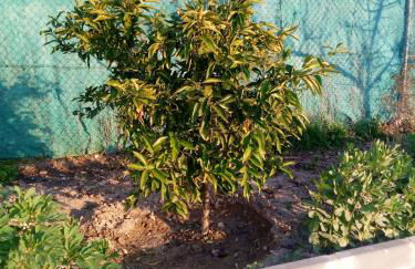 Charming House with Pool in Montilla - Foto 68