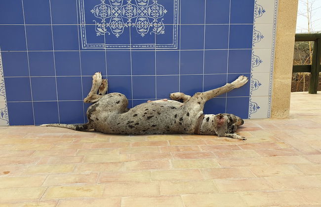 Agriturismo Duca Di San Martino - Photo 28