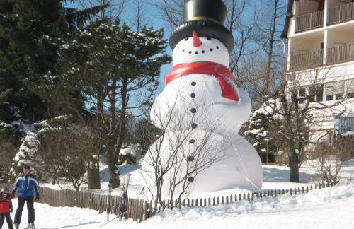 Ferienwohnung Hitzegrad - Foto 44