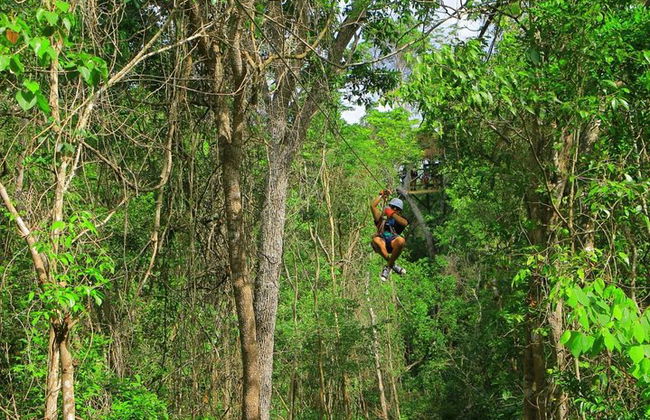 Entdecke eine erstaunliche Welt: Cenote-Erkundung und Dschungelflug. Büffet inklusive - Foto 6