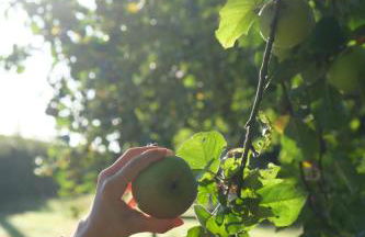 Le Nid Bohème - Foto 19