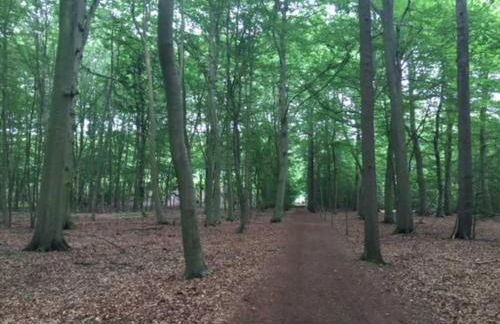 Ferienwohnungen Rheine Markt 12 - Foto 42