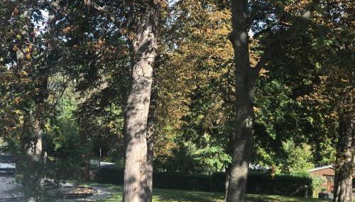 Domizil Eutschützblick - Foto 2