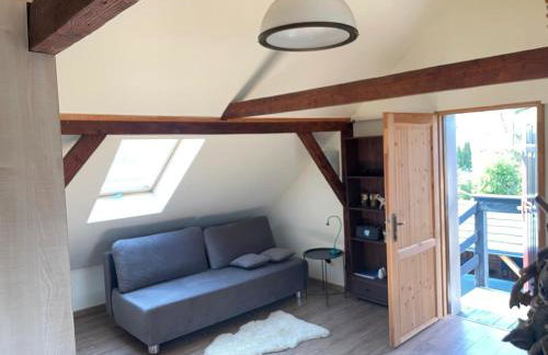 Dzika Foka Wiosłowa 49 - Photo 24