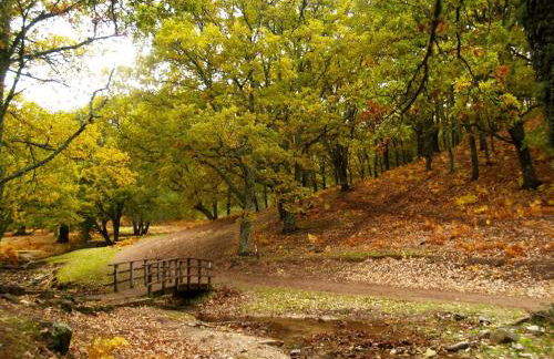 GREDOS RURALRUT cerca del CASTAÑAR de El Tiemblo, Reserva Natural VALLE DE IRUELAS, alojamiento acogedor con cabina hidromasaje, chimenea eléctrica, calefacción, wifi, cocina - Photo 16