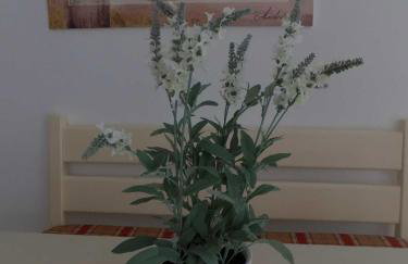 Ferienland Sonnenwald Fewo 46 - Foto 4