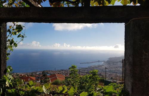 City View Gardens I - Foto 15