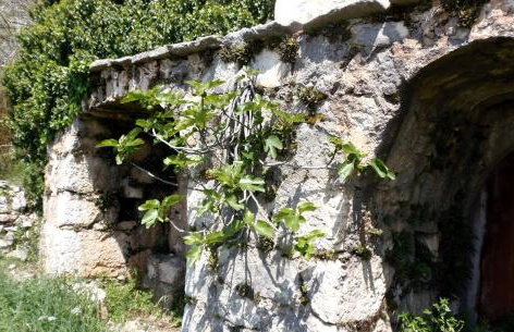 Stone cottage Lavandula - Foto 19