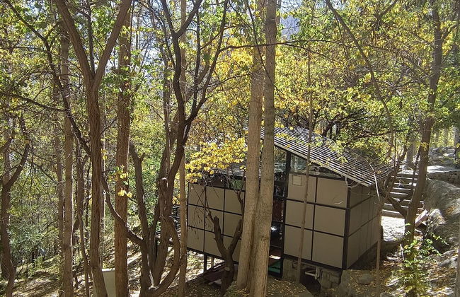 Kalp With Forest View- Cloud Nine and a Half Hunza - Photo 8