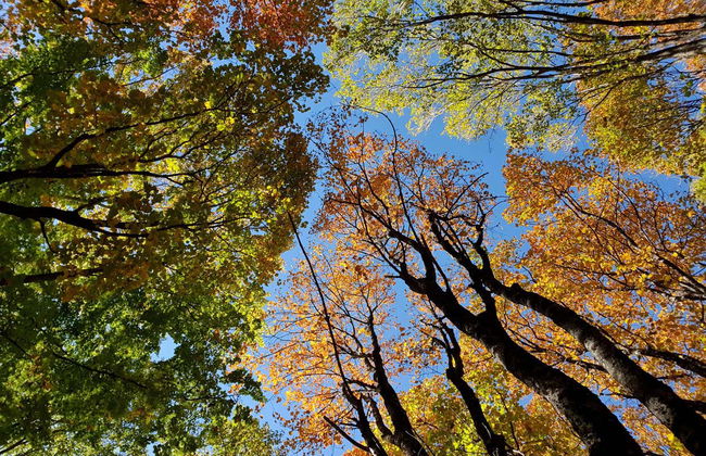 Excursion au Mont Dajt + BunkArt 1 - Photo 2