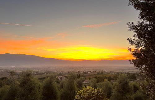 Agriboutique L'Uliveto Magico - Foto 28