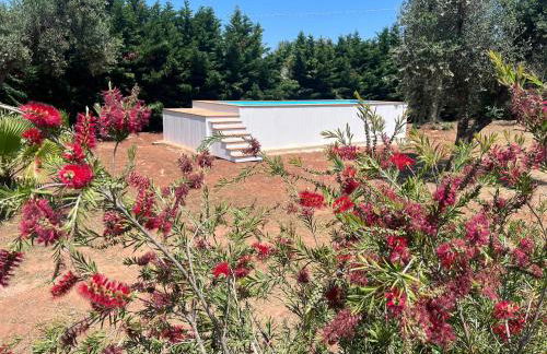 Villa Meraviglia - Foto 14