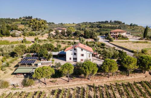 Sole Verde green house - Foto 9