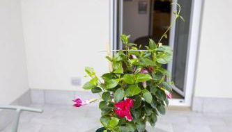 A casa di Sara - Foto 5