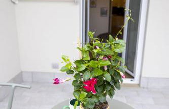 A casa di Sara - Foto 5