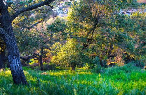 Sunset Point Estate - Foto 70