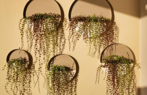 Beach House in Itea-Delphi - Photo 44