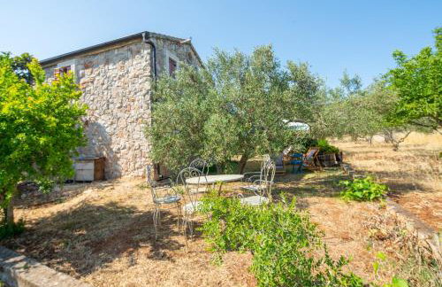 Villa Flaveico - Photo 42